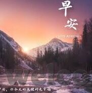 114足球比分-114足球比分，球迷心中的实时战报指南针