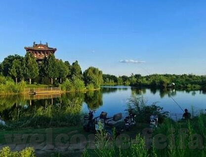 噢客足球比分-从噢客足球比分出发，解锁足球观赛新体验的钥匙